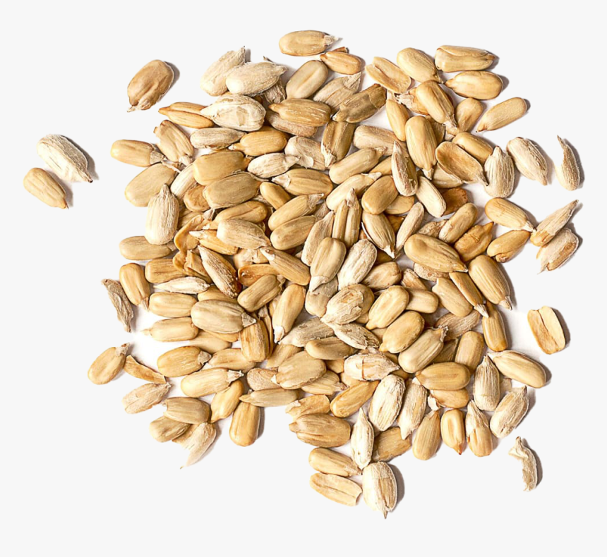 Roasted Organic Sunflower Seed, HD Png Download