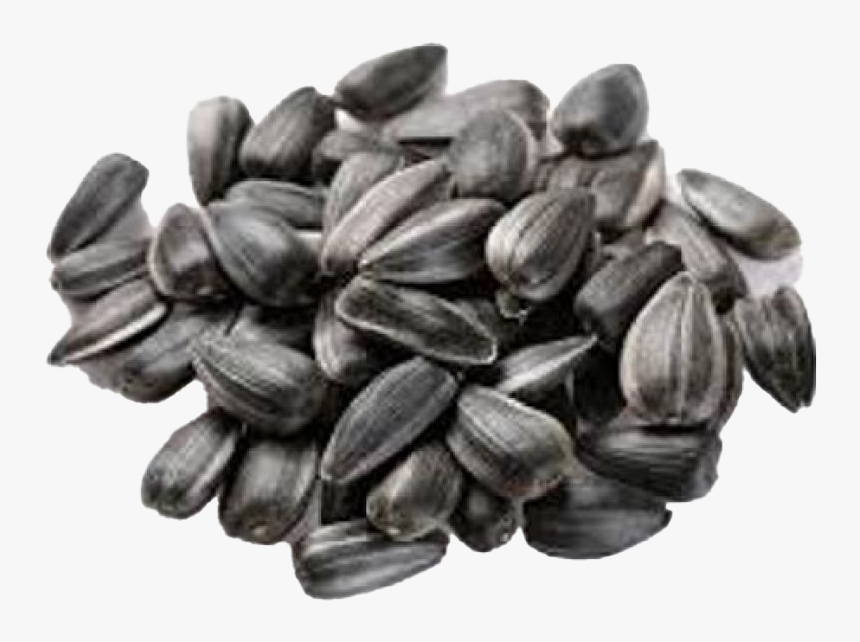 Russian Sunflower Seeds Raw, HD Png Download