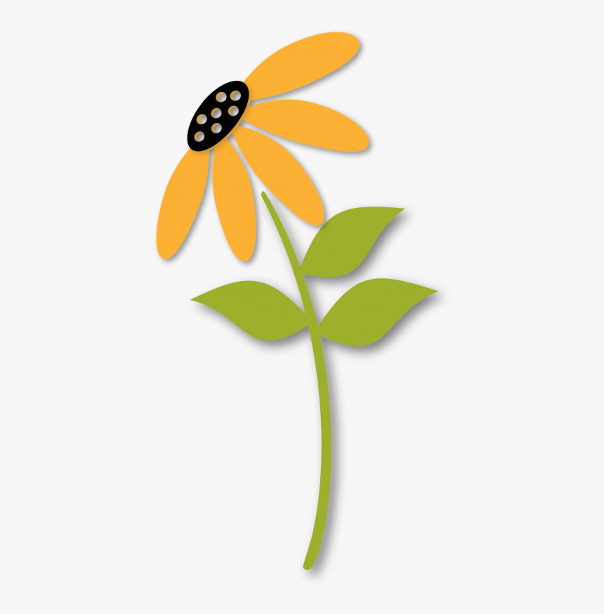 African Daisy, HD Png Download