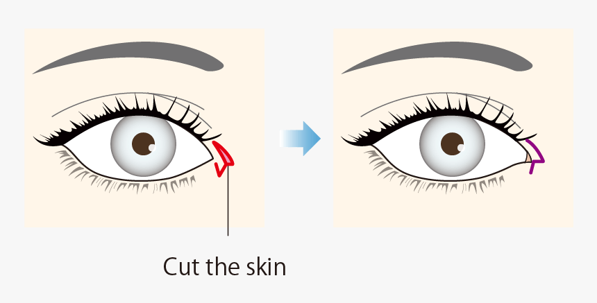 Create A Z Shape - Eyelash Extensions, HD Png Download