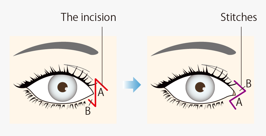 Create A Z Shape - Eyelash Extensions, HD Png Download
