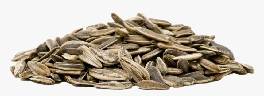 Sunflower Seeds, HD Png Download