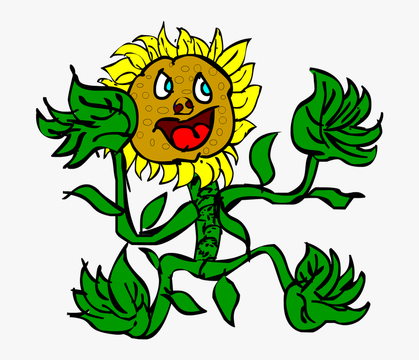 Picture, HD Png Download