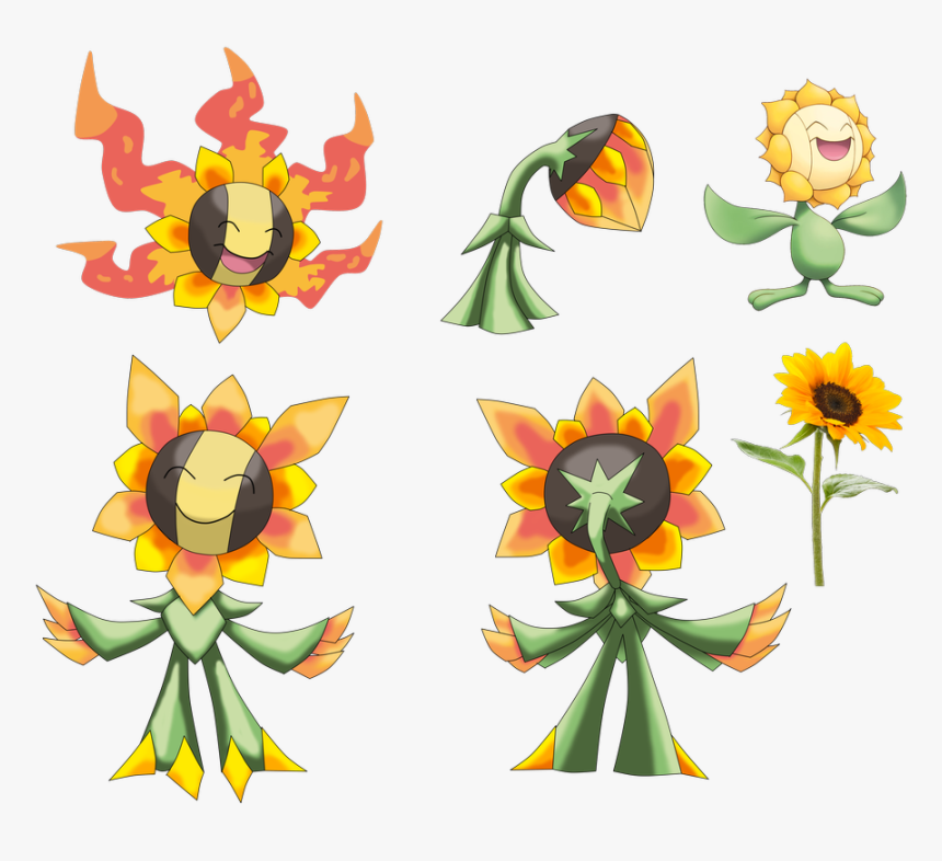 Sunflora Evolution, HD Png Download