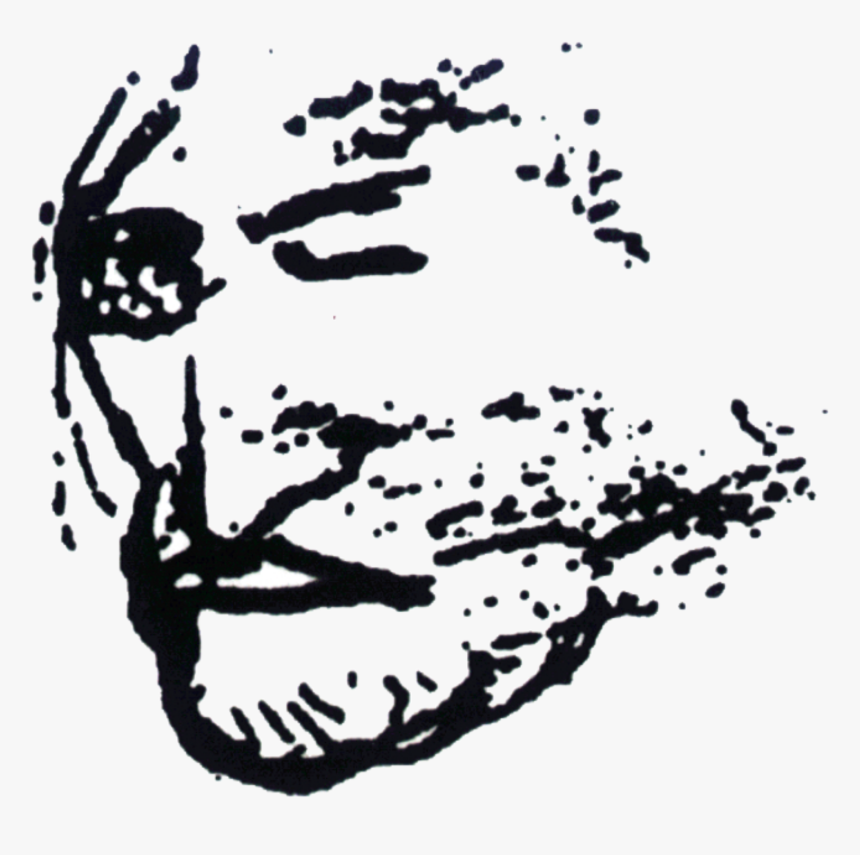 Illustration, HD Png Download