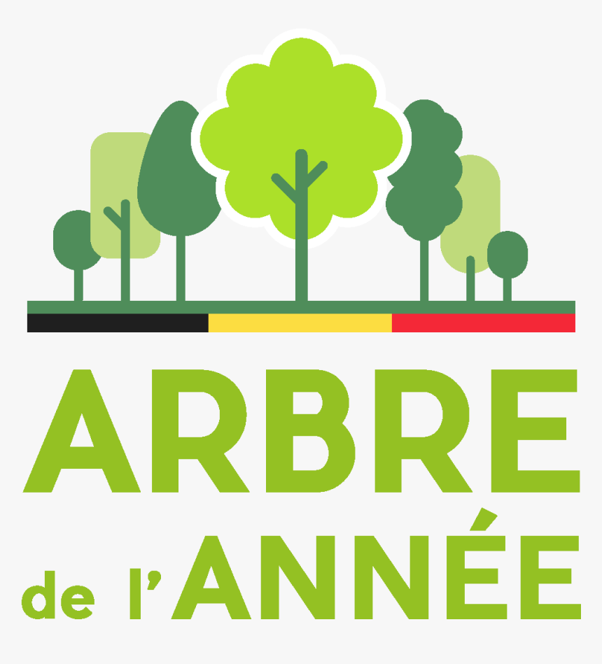 Belgium Tree Of The Year - Wpp Data Alliance Png, Transparent Png