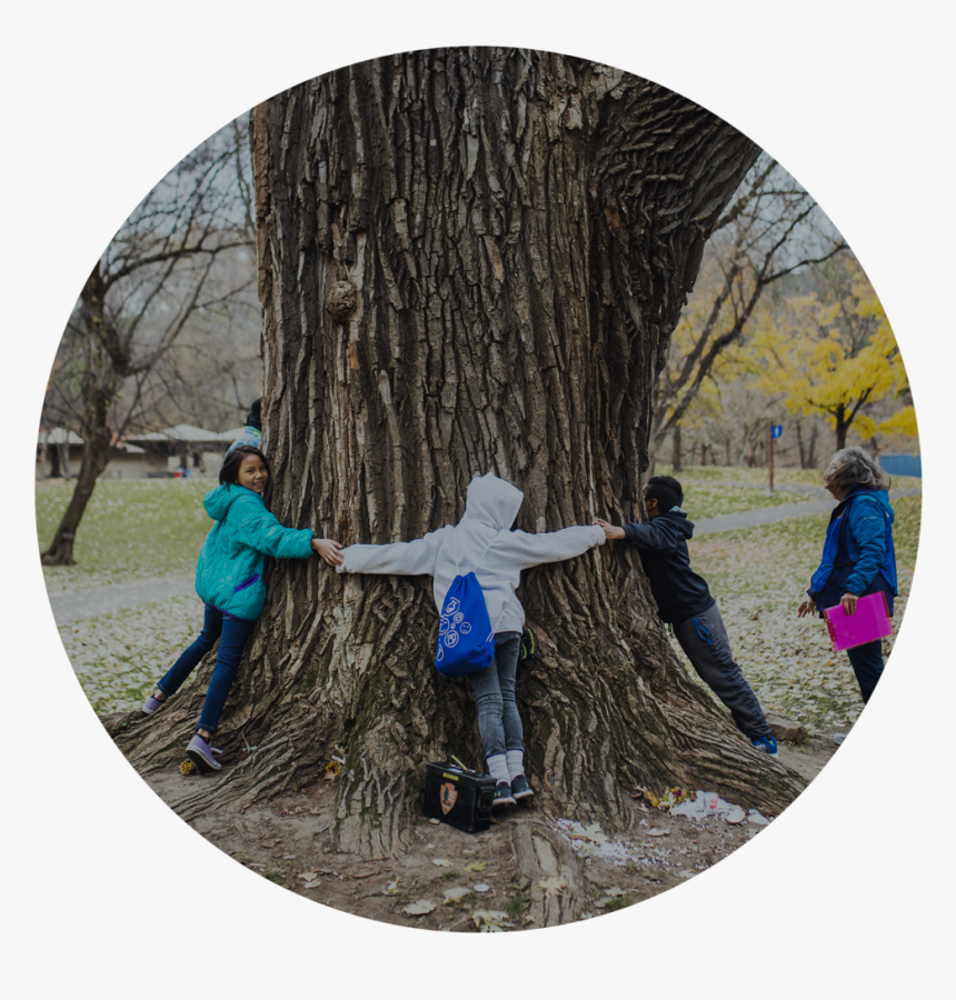 Involve - Membership - Child, HD Png Download