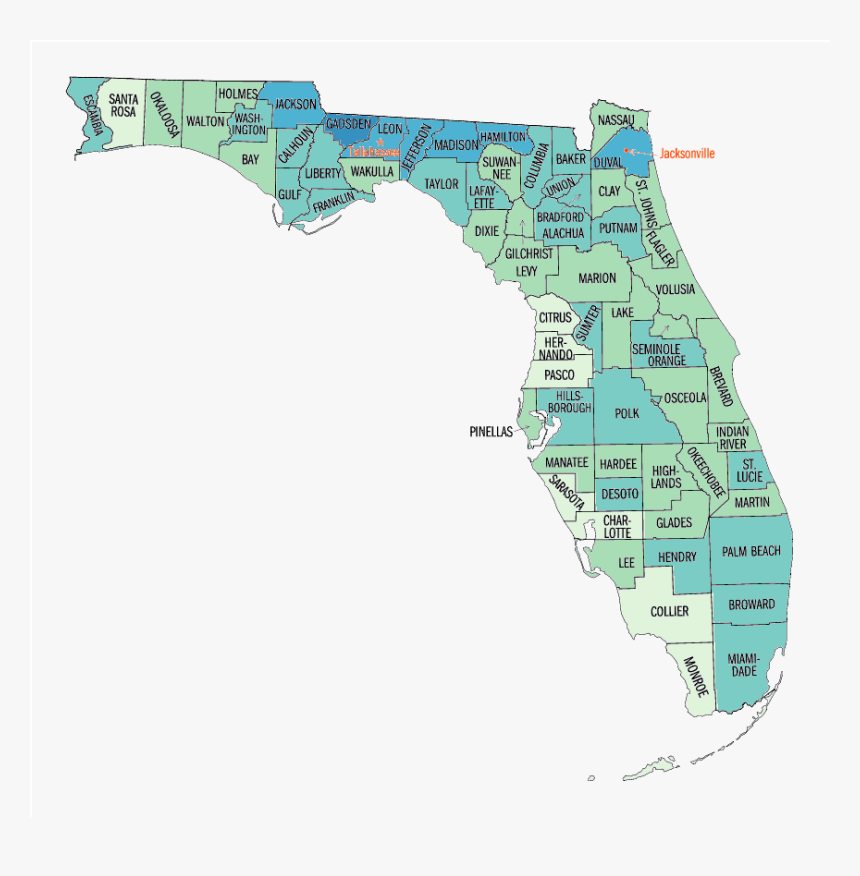 Black Or African American Persons, Percent, - Florida Map By Regions, HD Png Download