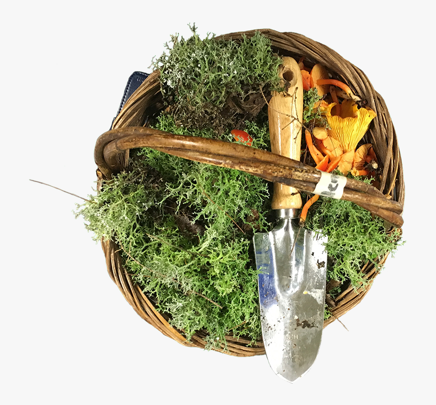 Edible Seaweed, HD Png Download