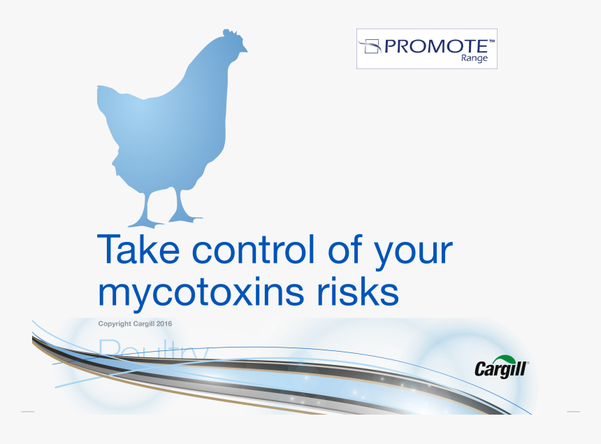 Take Control Of Mycotoxin Risks In Poultry , Png Download - Cargill, Transparent Png