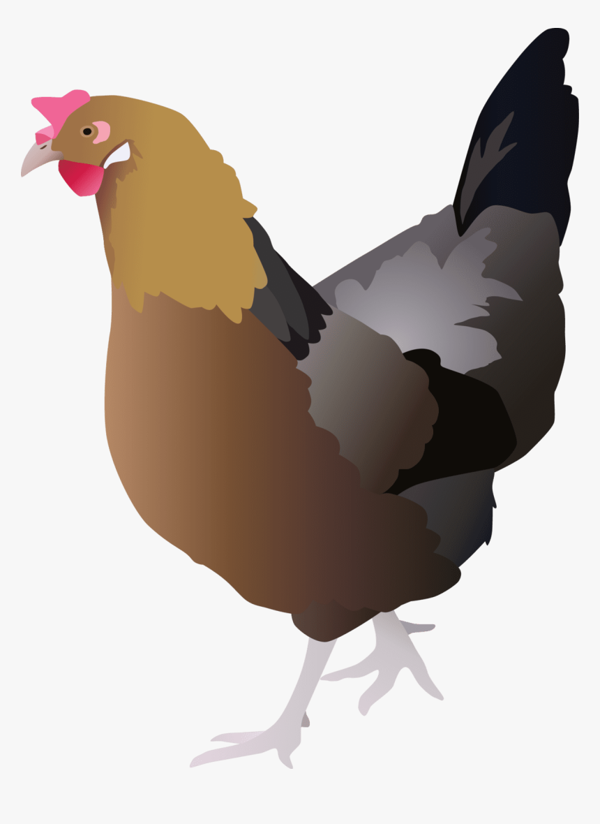 Index Of Ress Tice 1 Partage Visuel Ian Hen Png, Transparent Png