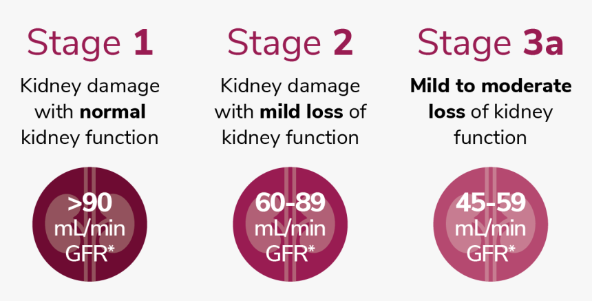 Circle, HD Png Download