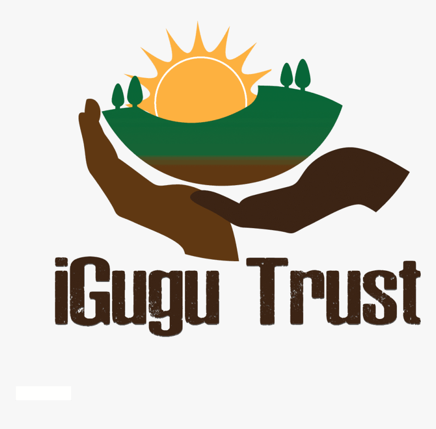 Dish, HD Png Download