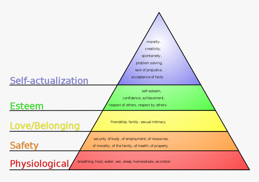 Brand Hierarchy