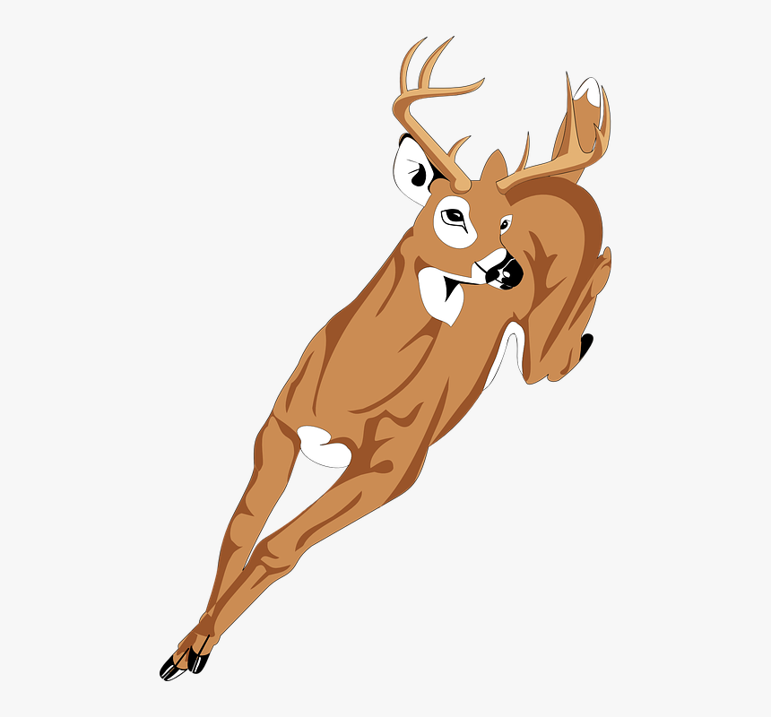 Deer Clip Art, HD Png Download
