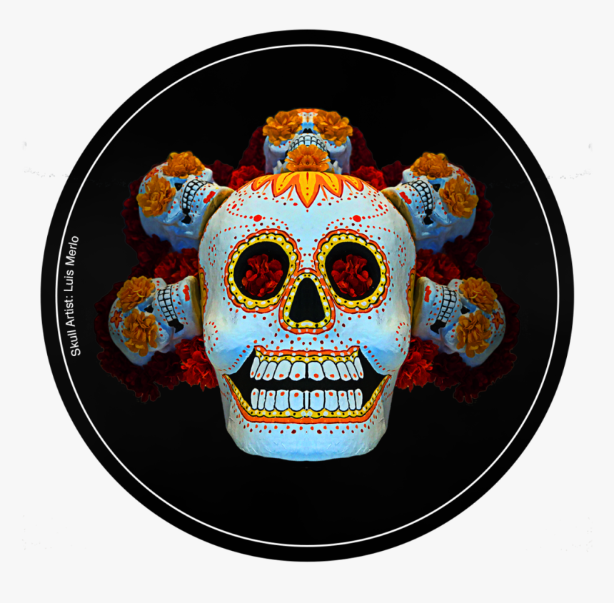 Mr Ignite Redcoastersidea - Skull, HD Png Download