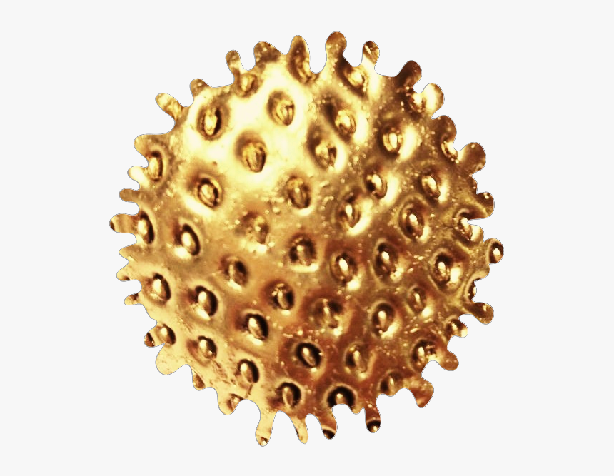 #freetoedit #dorado #golden #brillo #textures #brillante - Circle, HD Png Download