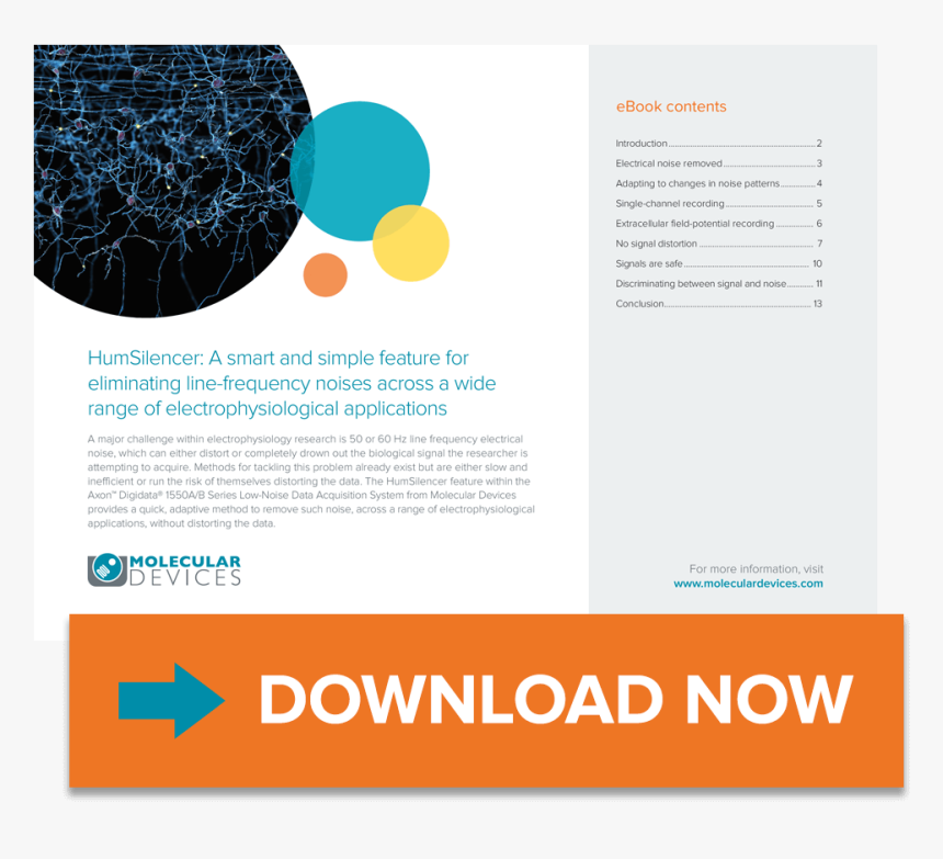 Applications - Online Advertising, HD Png Download