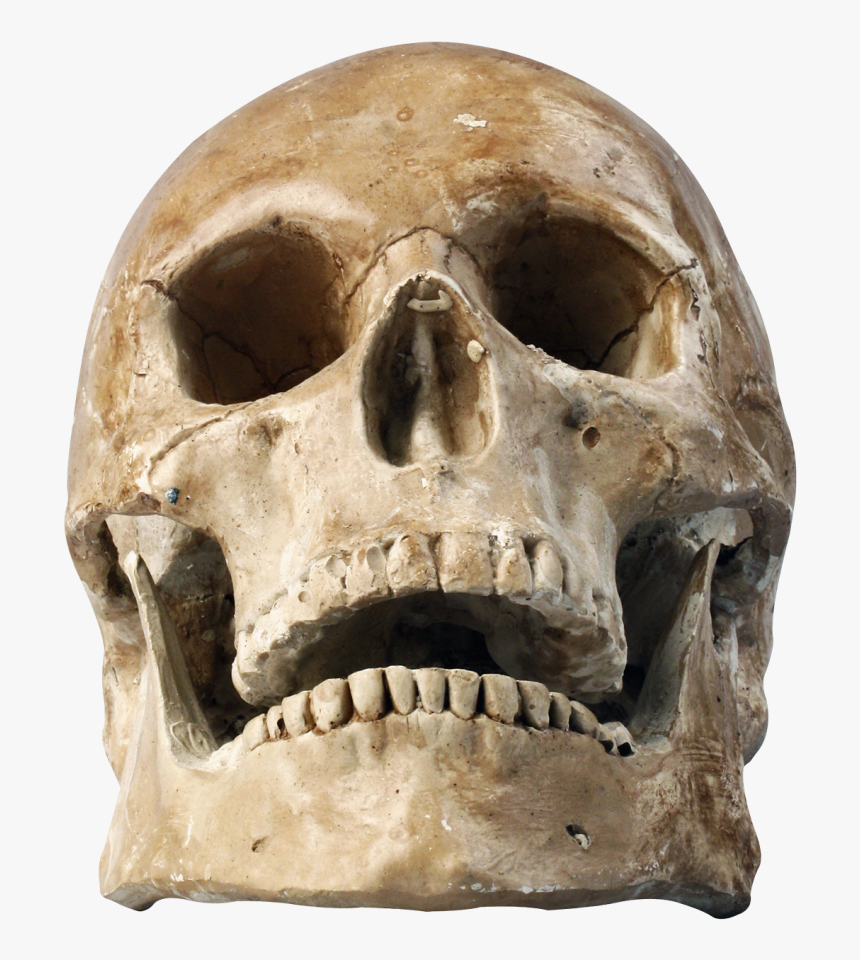 Skull Png Image, Transparent Png