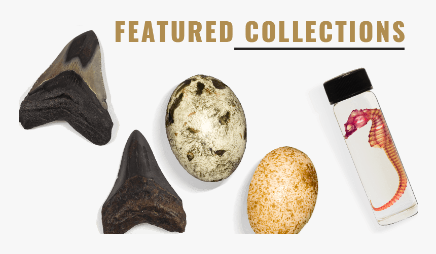 Igneous Rock, HD Png Download