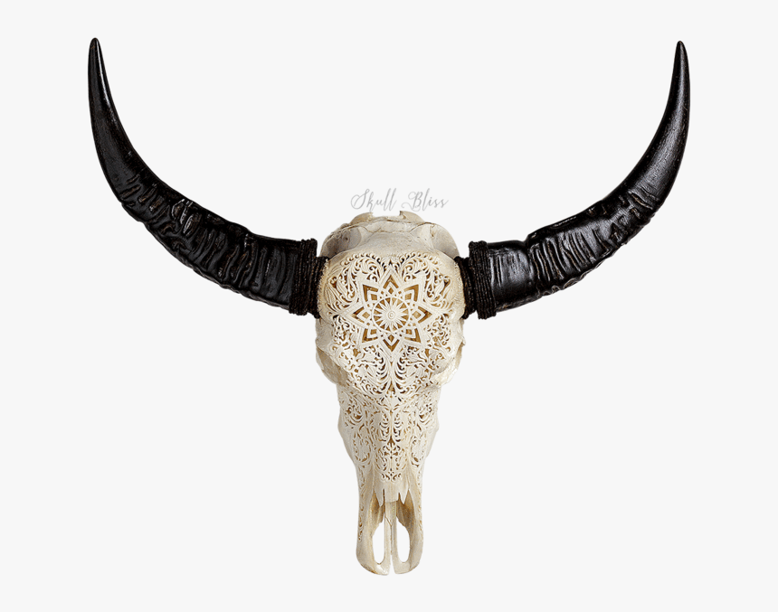 Skull Bliss Reviews, HD Png Download