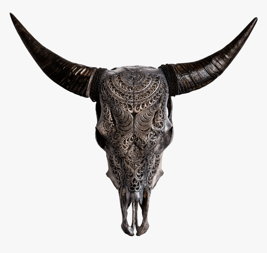 Skull Variant Skull Only - Cow Skulls, HD Png Download