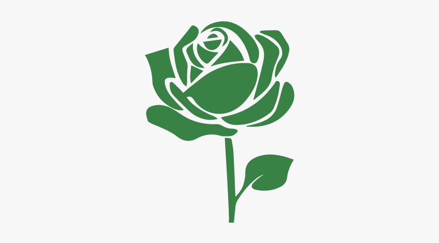 Garden Roses, HD Png Download