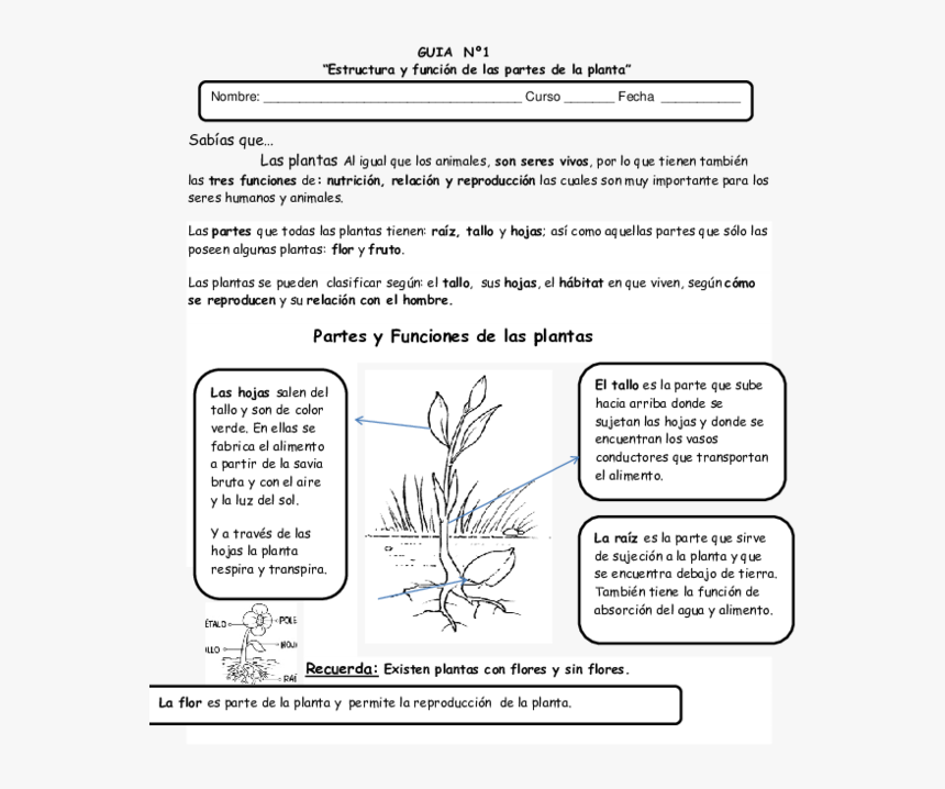 Document, HD Png Download