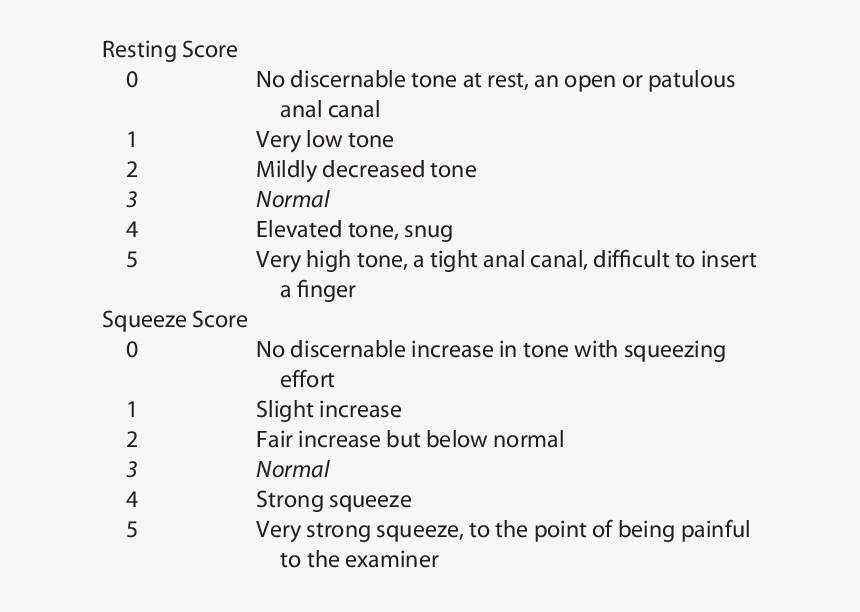 Direct Rectal Exam Results, HD Png Download