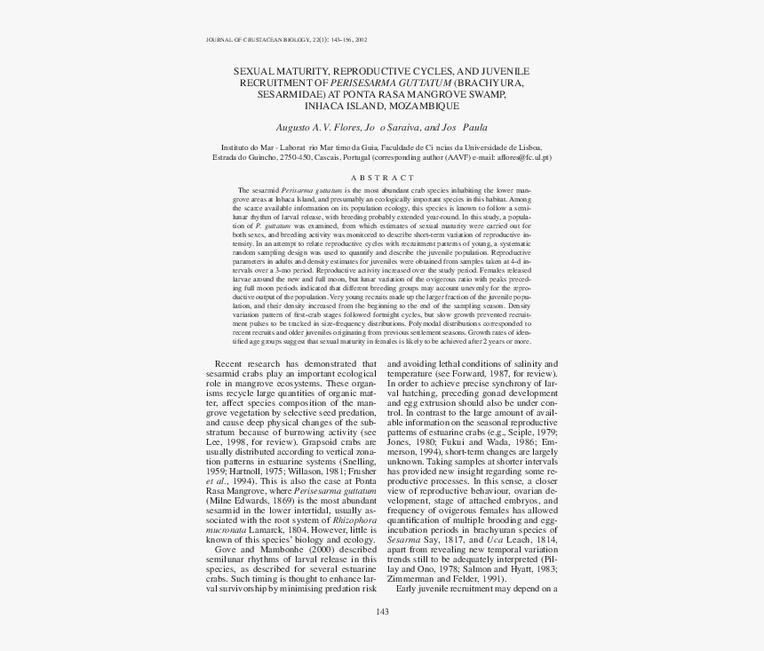 Folio Eleven From Burchard Of Sion's De Locis Ac Mirabilibus, HD Png Download