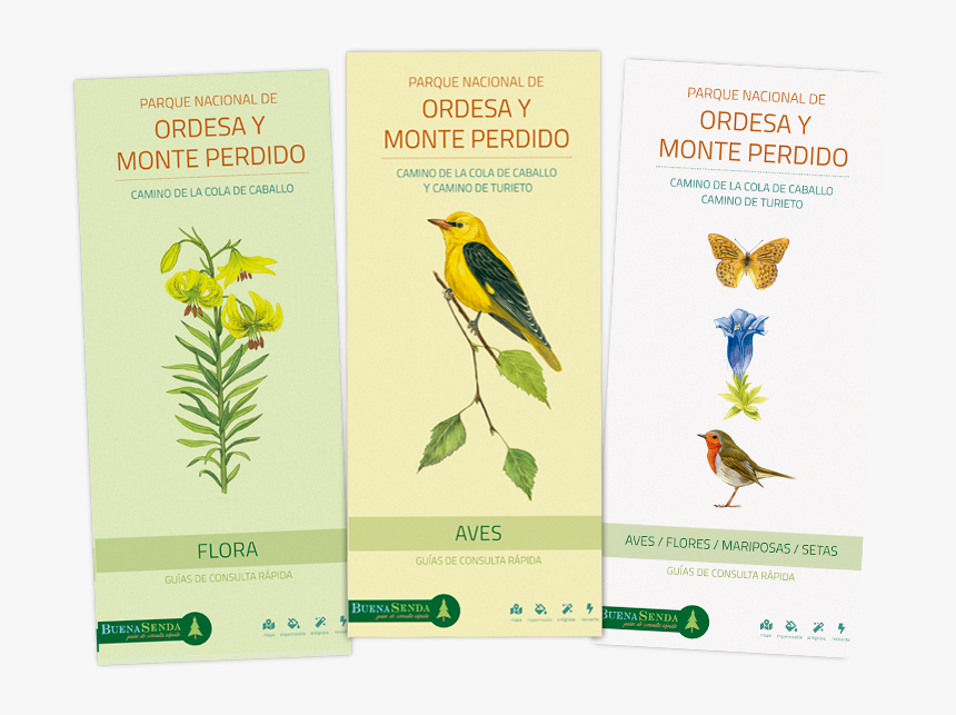 Portadas De Guías De Ordesa Y Monte Perdido - Finch, HD Png Download