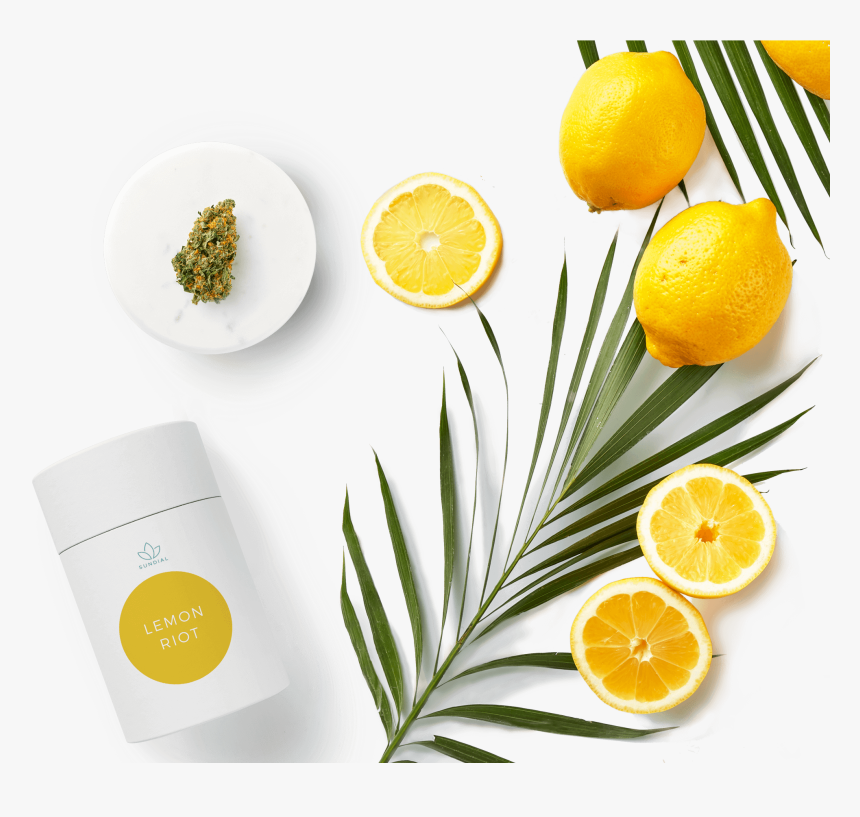 Sundial Growers Posts $25 - Blood Orange, HD Png Download