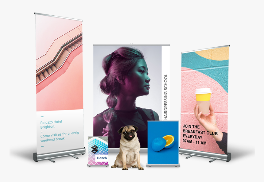 3 Roller Banners Side By Side - Pug, HD Png Download