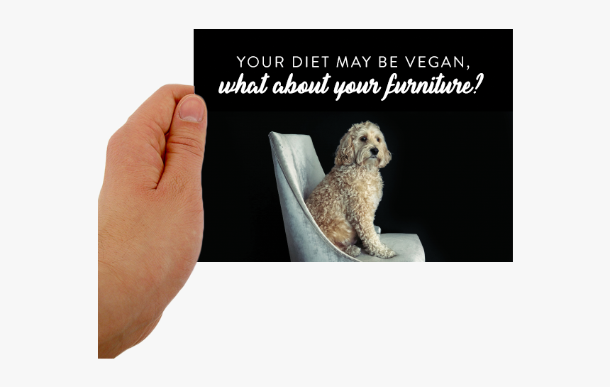 Postcard Image, HD Png Download