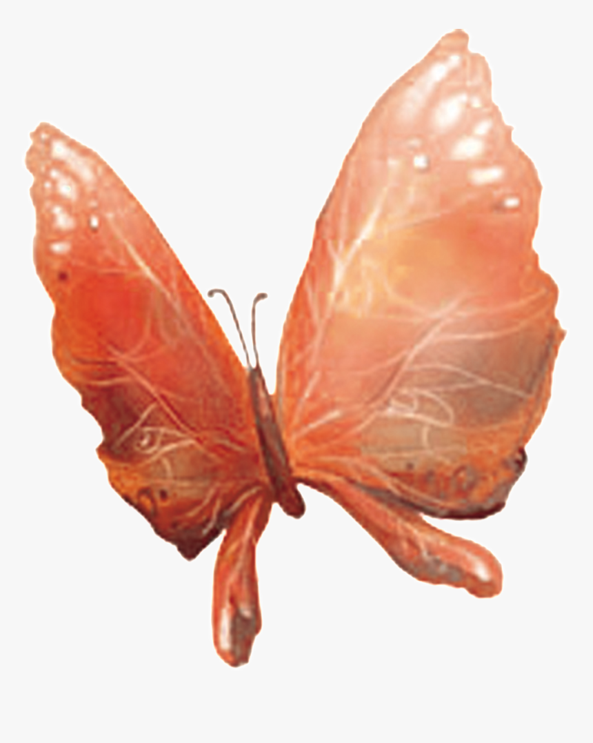 Hd Beautiful Colorful Butterfly Png - Riodinidae, Transparent Png