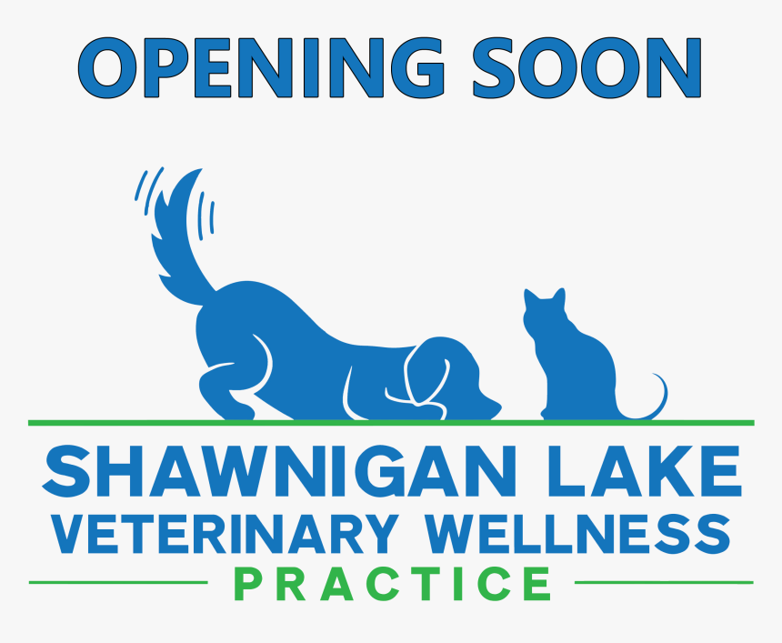 Cat Playing With Yarn, HD Png Download