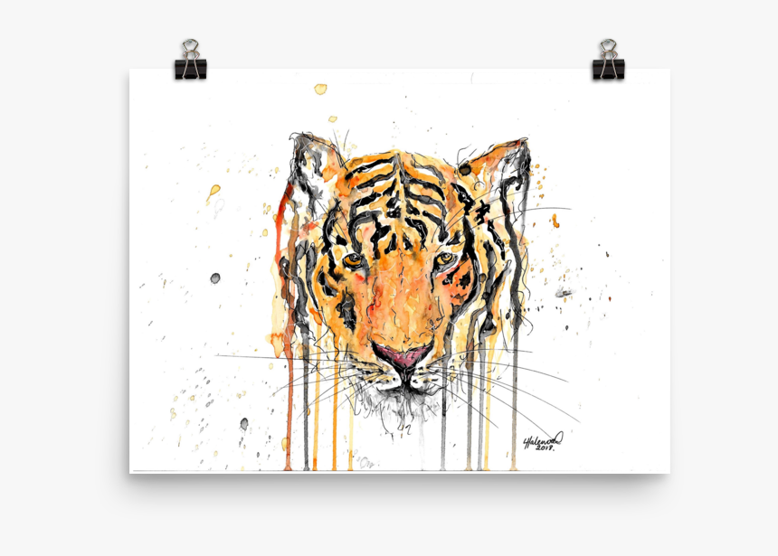 Snow Leopard, HD Png Download