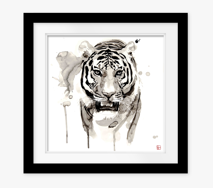 Encadree Noir Et Blanc Animaux Africain, HD Png Download