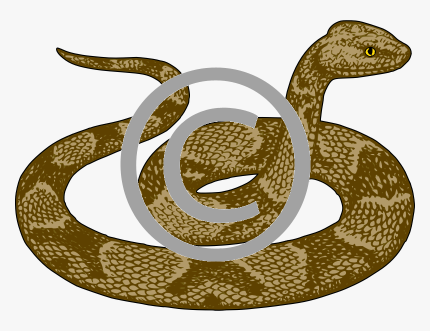 Transparent Background Snake Clipart, HD Png Download