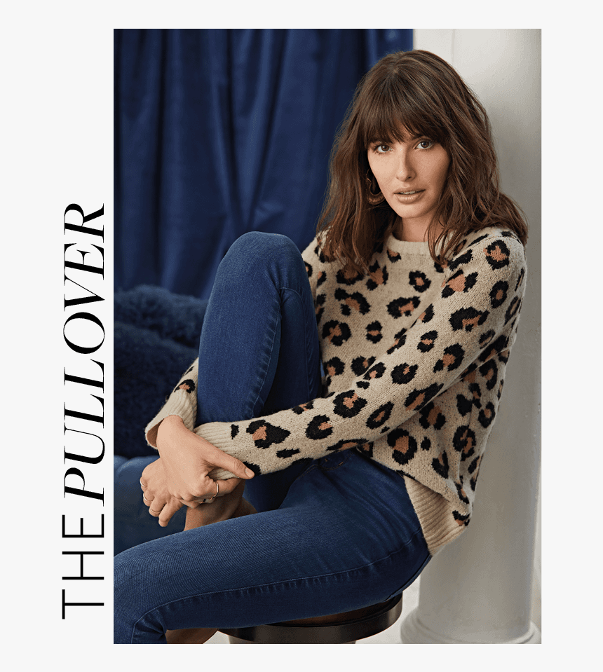 Animal Print Trend - Sitting, HD Png Download