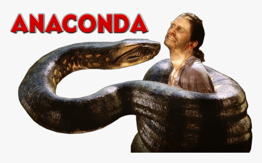 Snake .png, Transparent Png