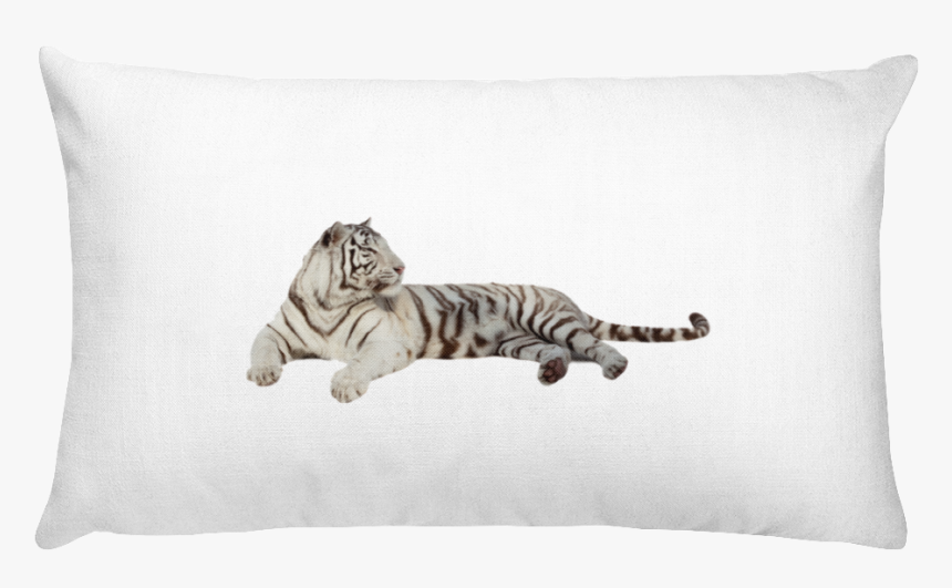 Class Lazyload Lazyload Mirage Cloudzoom Featured Image - White Rectangular Pillow, HD Png Download