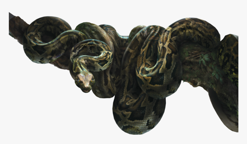 Jungle Book 2016 Kaa, HD Png Download