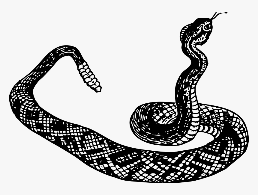 Snake Black And White, HD Png Download