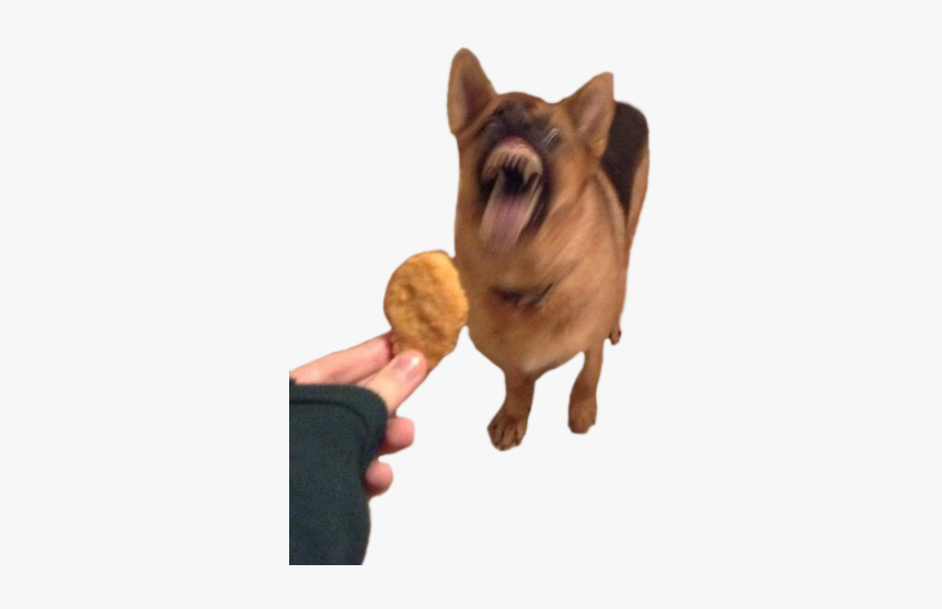 French Bulldog, HD Png Download