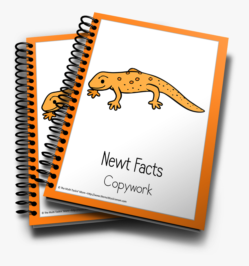 Tax Training Course, HD Png Download