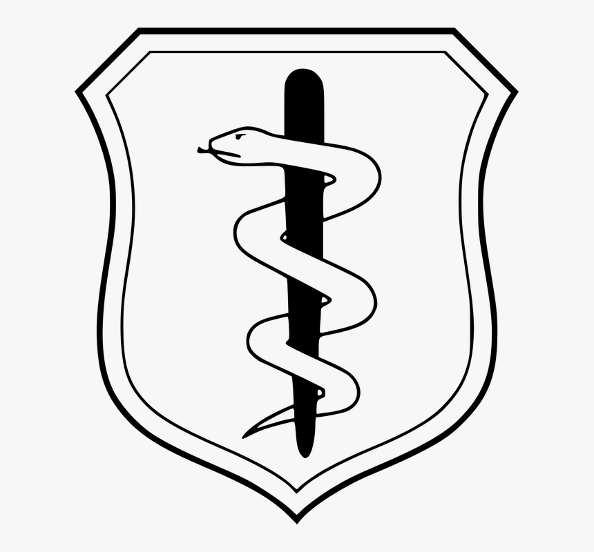 Transparent Nursing Symbol Clipart - Air Force Dental Badge, HD Png Download