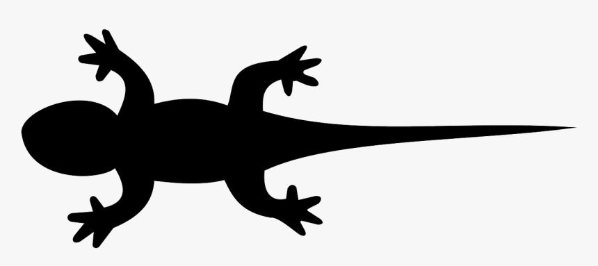 Newt Clipart Transparent - Black Lizard Clip Art, HD Png Download