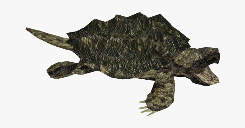 Download Snapping Turtle - Turtle With Transparent Background, HD Png Download