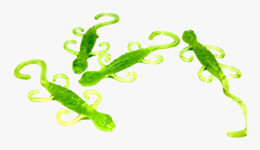 Crocodile, HD Png Download